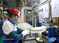 Vietnam sustains growth momentum in first five months, bolstering double-digit target